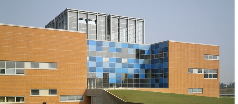 cybersecurity, Selta nomina i Direttori per Communication e Cybersecurity