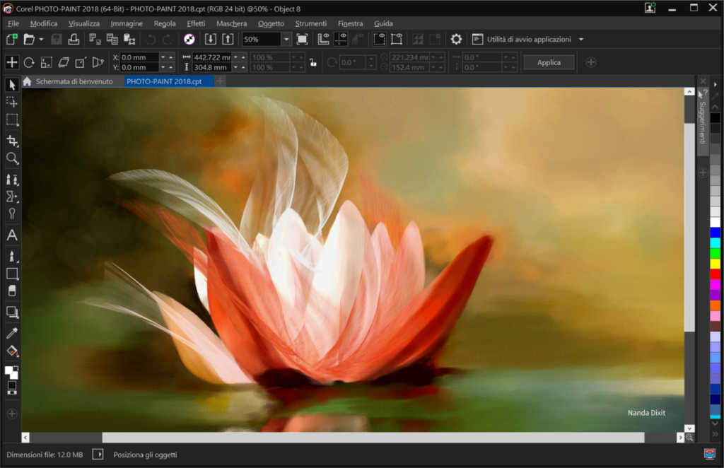 , CorelDraw Graphics Suite 2018: pi&ugrave; potenza alla progettazione grafica
