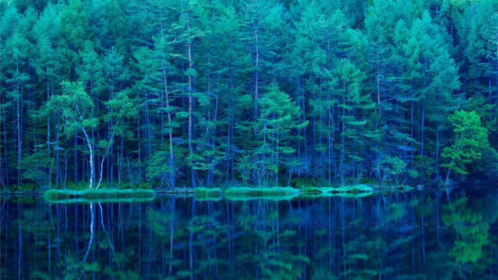 HPE GreenLake, HPE espande i servizi cloud GreenLake