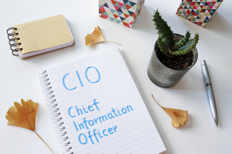 CIO Chief Information Officer written in notebook