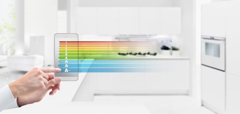 Homy di Fractalgarden, Homy, il maggiordomo virtuale italiano di Fractalgarden