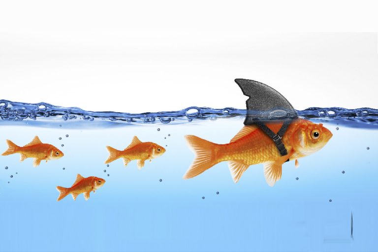 Lezioni di leadership