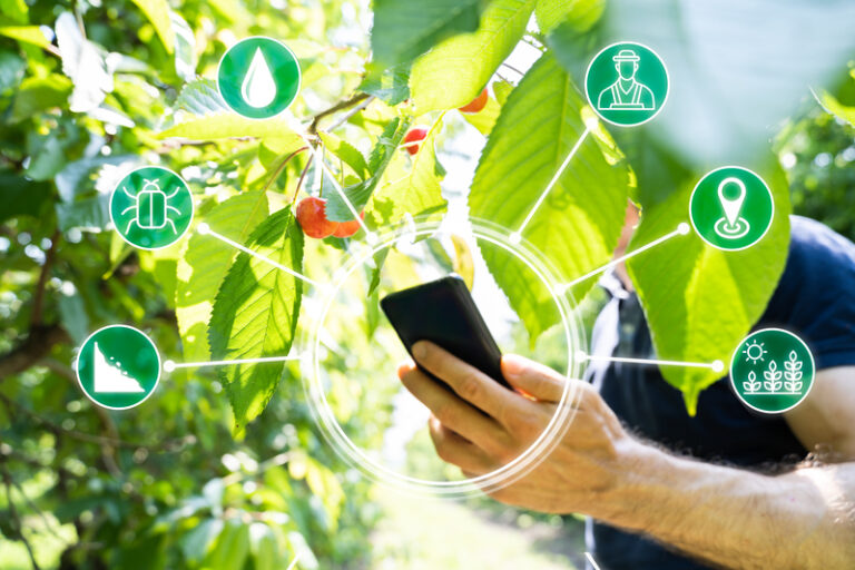 VEM sistemi: la digital revolution di Agrintesa