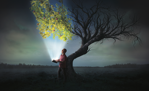 il-giorno-2-e-quello-in-cui-le-aziende-muoiono