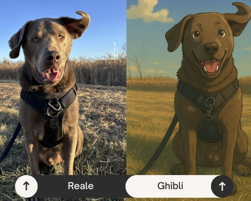 ghibli-ai-e-privacy-quando-larte-digitale-incontra-il-rischio-dati